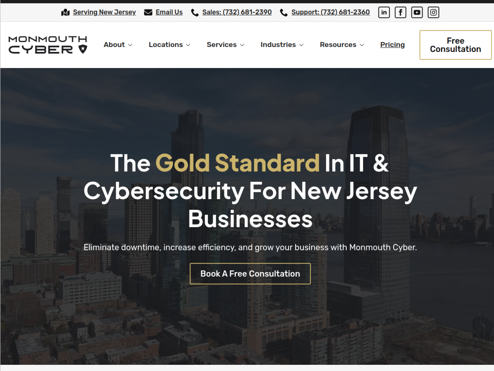 Homepage of Monmouth Cyber, an IT company serving New Jersey businesses